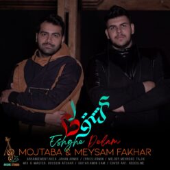 دانلود آهنگ میثم و مجتبی فخار عشق دلم